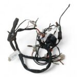 Baotian Guochi 50 2001-2003 Main Wiring Loom Harness OEM