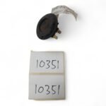 Baotian Guochi 50 2001-2003 Horn OEM - Image 2