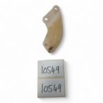Honda CLR125 125 1998-1999 Rear Sprocket Guard OEM - Image 4