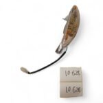 AJS Digita 50 2009 Right Indicator OEM - Image 2