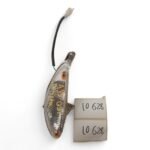 AJS Digita 50 2009 Right Indicator OEM - Image 4