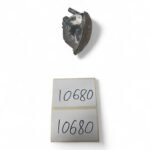 Yamaha Neos 50 2002 Right Indicator OEM - Image 2