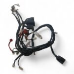Baotian BT110-2 110 2008 Main Wiring Harness OEM