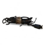 Honda Cub75 75 1970 Main Wiring Harness OEM - Image 6