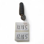 Ducati Monster 600 1993-1999 Left Side Foot Peg Footrest OEM - Image 2