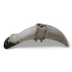 Suzuki FZ750 750 1978-1982 Front Mudguard OEM - Image 4