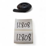 Sonik Corsa 50 2013 Horn OEM - Image 3
