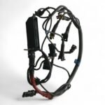 Cagiva Gran Canyon 900 900cc 1998-2000 ECU Relay Wiring Loom OEM - Image 6