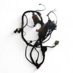 Honda Pantheon FES Rs 125 1998-02 Main Wiring Loom Harness OEM - Image 2