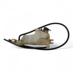 Yamaha TDR125 TDR 125 125 1990-2000 Oil Tank Reservoir OEM - Image 6
