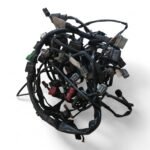 Honda CBF600 600 2008 Main Wiring Loom / Electrical Harness OEM - Image 2